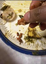 IMG_4458.jpeg