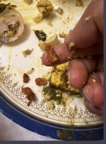 IMG_4457.jpeg