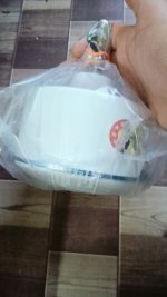 fanwhite2.jpg