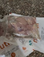 IMG_4296.jpeg