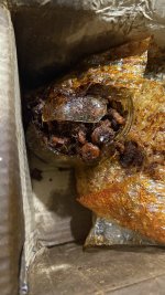 IMG_3226-min.jpeg