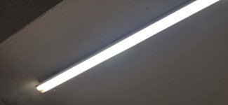 Profile Light not fixed.jpeg