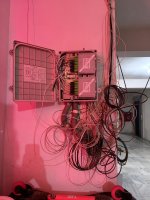 WhatsApp Image 2025-11-13 at 10.04.09.jpeg