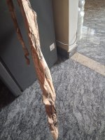 WhatsApp Image 2026-01-19 at 4.25.02 PM (3).jpeg