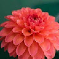 Akash s