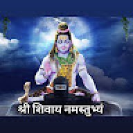 Narpat Singh Shekhawat