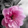 umesh046