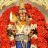 Rajasekarsnp